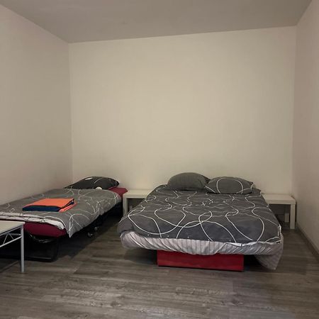 Logement Type Studio 1 Piece Proche Zenith Στρασβούργο Εξωτερικό φωτογραφία