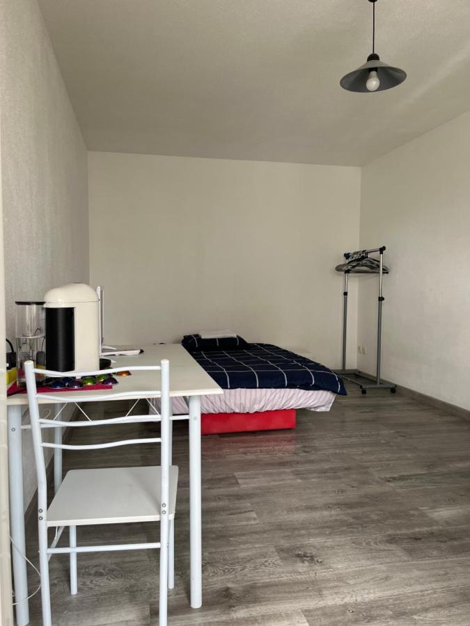 Logement Type Studio 1 Piece Proche Zenith Στρασβούργο Εξωτερικό φωτογραφία